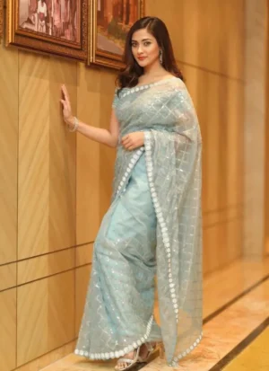 অরগাঞ্জা এমব্রয়ডারি পার্টি শাড়ি – গর্জিয়াস কালেকশন